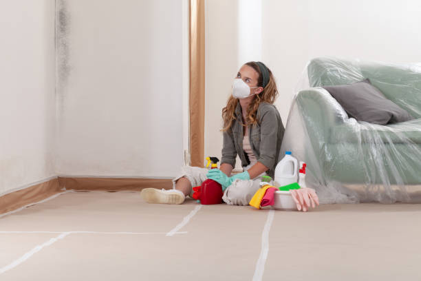 Reliable Mold Testing contractor in Jbsa Ft Sam Houston, TX by WQB Mold Removal